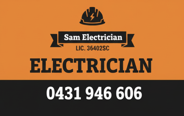 Professional Electrician